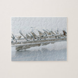 Flute Jigsaw Puzzle