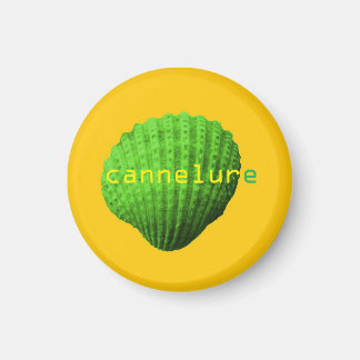 fluting shell magnet