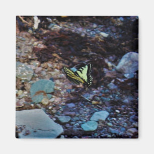 Flutter By Magnet