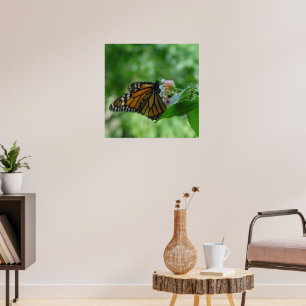 Fluttering Monarch Butterfly on Flower Poster