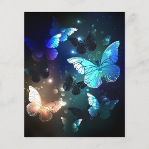 Fluttering Night Butterfly