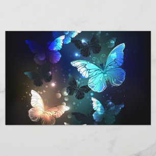 Fluttering Night Butterfly