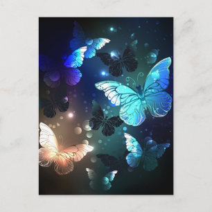 Fluttering Night Butterfly Advice Card