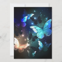 Fluttering Night Butterfly