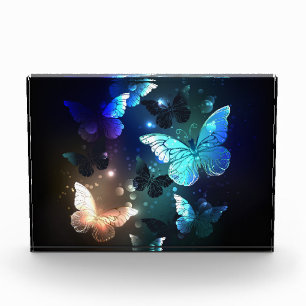 Fluttering Night Butterfly Photo Block