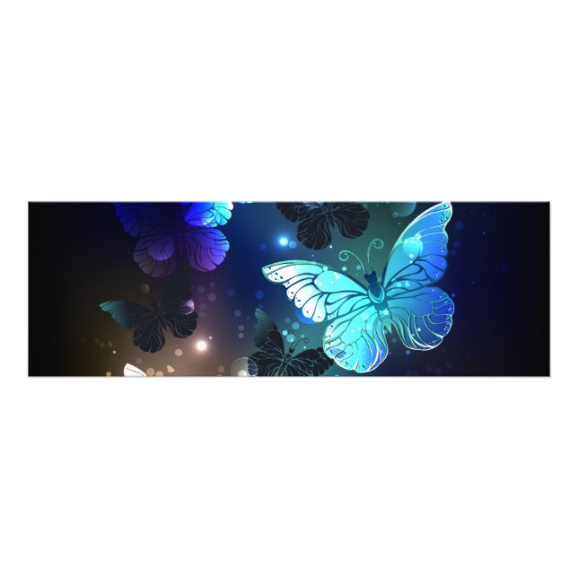 Fluttering Night Butterfly Photo Print (Front)