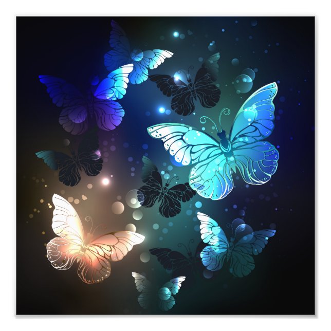 Fluttering Night Butterfly Photo Print (Front)