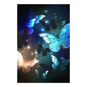 Fluttering Night Butterfly Photo Print