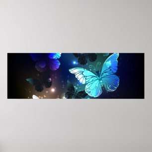 Fluttering Night Butterfly Poster