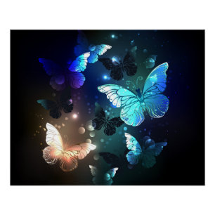 Fluttering Night Butterfly Poster