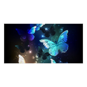 Fluttering Night Butterfly Poster