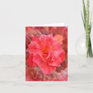 Fluttering Petals..... Card