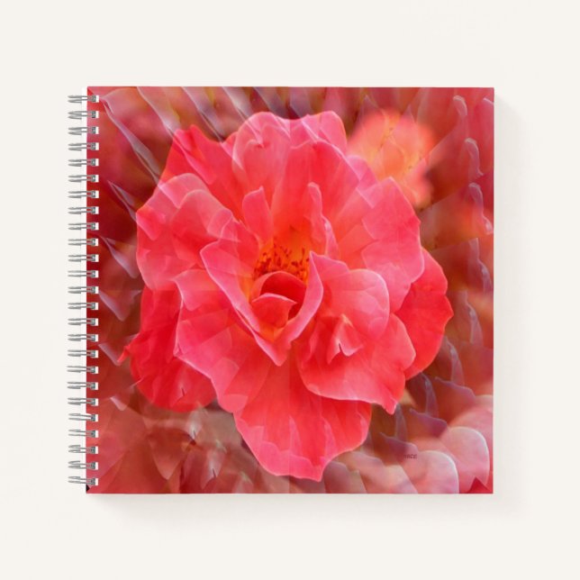 Fluttering Petals..... Notebook (Front)