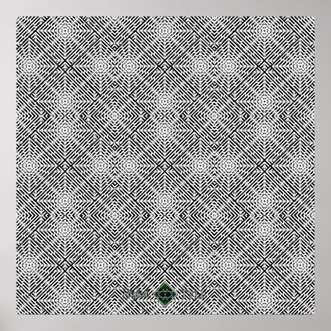 Flux Illusion Poster (Front)