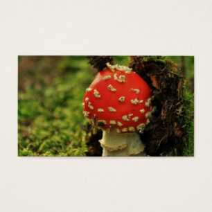 Fly Agaric