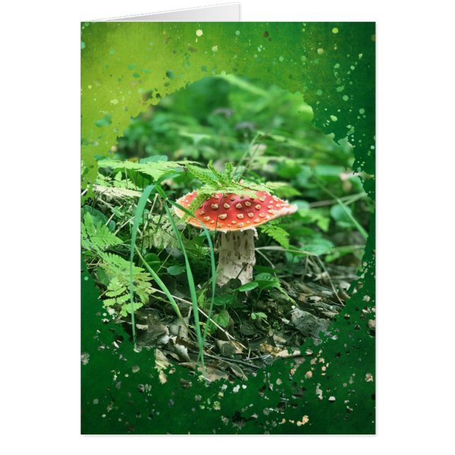 Fly Agaric  - 5" x 7" Art Card (Front)
