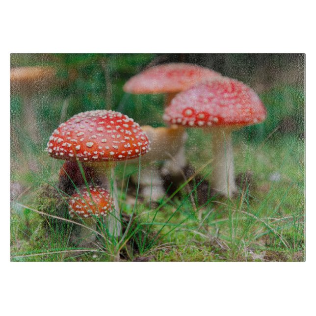 Fly-Agaric In A Forest, Closeup Photo Cutting Board (Front)