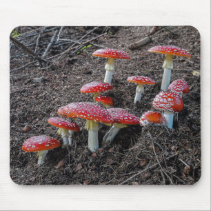 Fly agaric mouse pad