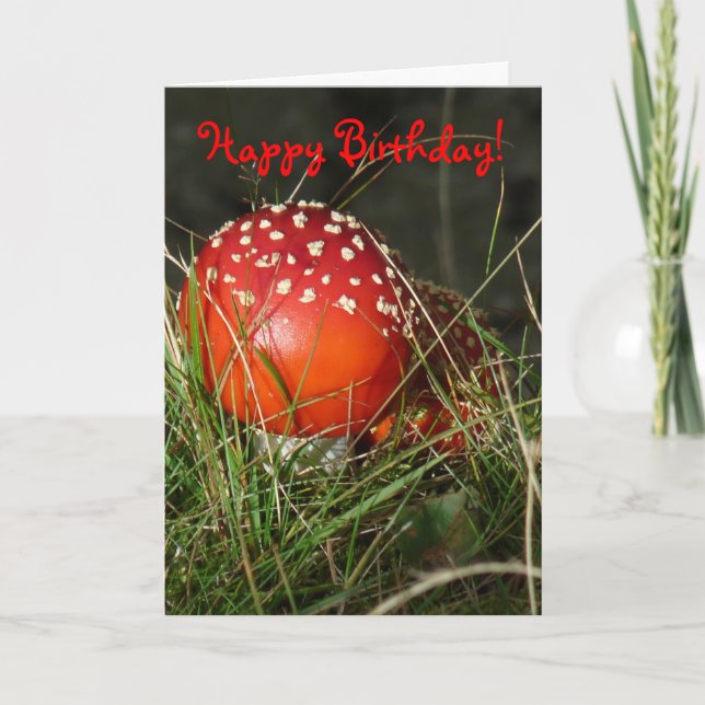 "Fly Agaric Mushroom" Birthday Card (Front)
