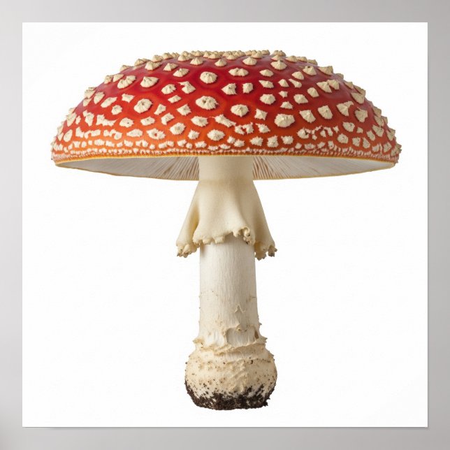 Fly Agaric Mushroom Poster (Front)