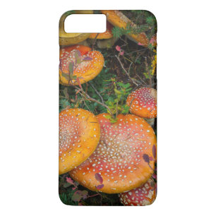 Fly agaric mushrooms at Mowich Lake iPhone 8 Plus/7 Plus Case