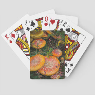 Fly agaric mushrooms at Mowich Lake Playing Cards