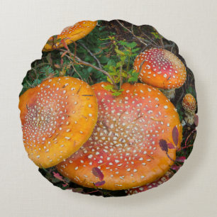 Fly agaric mushrooms at Mowich Lake Round Cushion