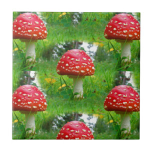 Fly Agaric Mushrooms Ceramic Tile