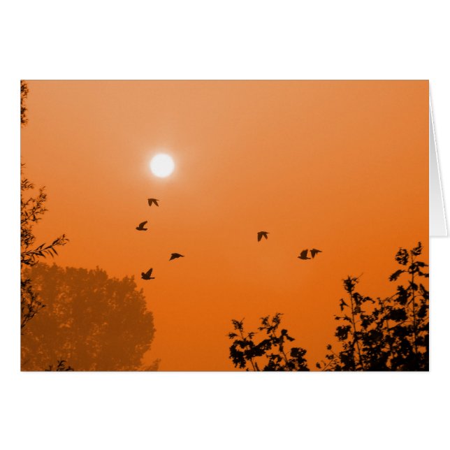 Fly at dawn Card (Front Horizontal)