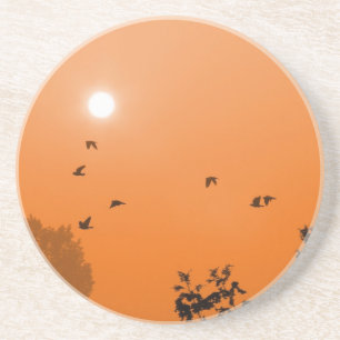 Fly at dawn Coaster