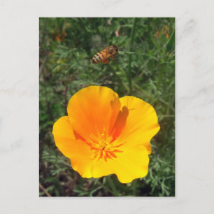Fly Away Bee Postcard