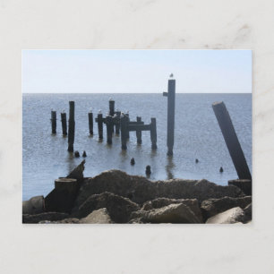 Fly Away Creole River Postcards