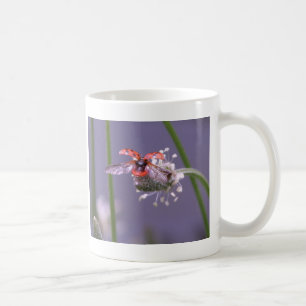 Fly away home coffee mug