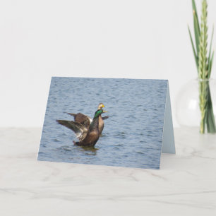 Fly Away With Me - Mallard Duck Greeting Card