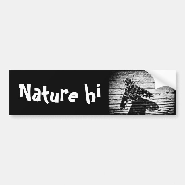 fly back bumper sticker (Front)