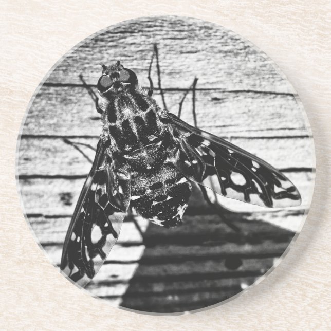 fly back coaster (Front)