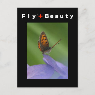 FLY + Beauty Postcard