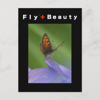 FLY ＋　Beauty Postcard