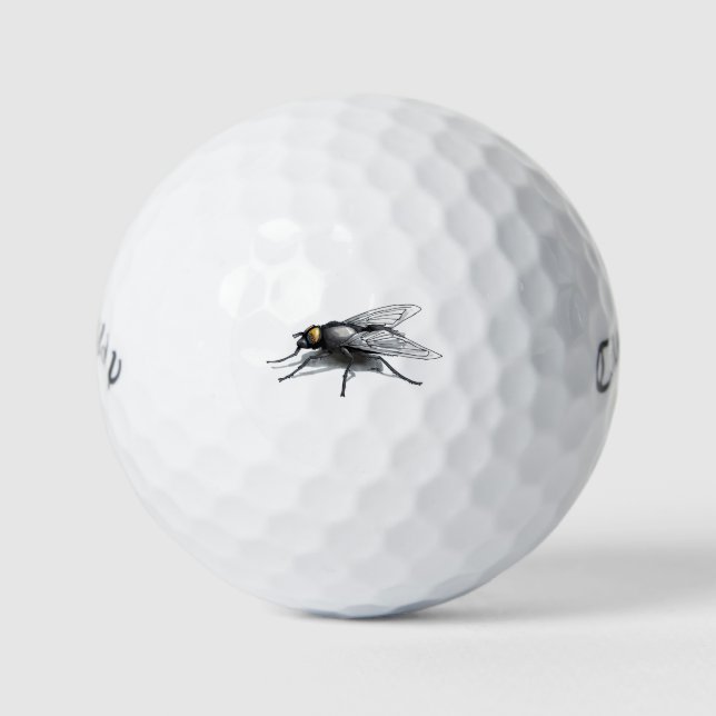 Fly Buddy Callaway Warbird golf balls (12 pk) (Front)