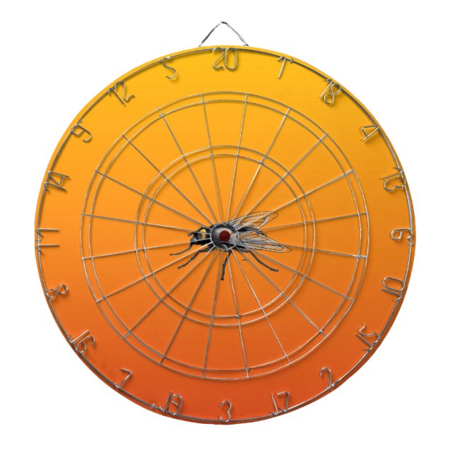 Fly Buddy dartboard (Front)
