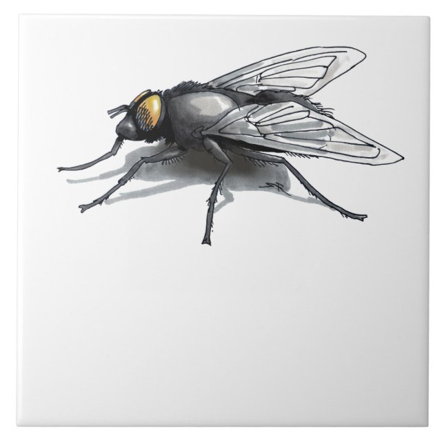Fly Buddy giant fly large tile (Front)