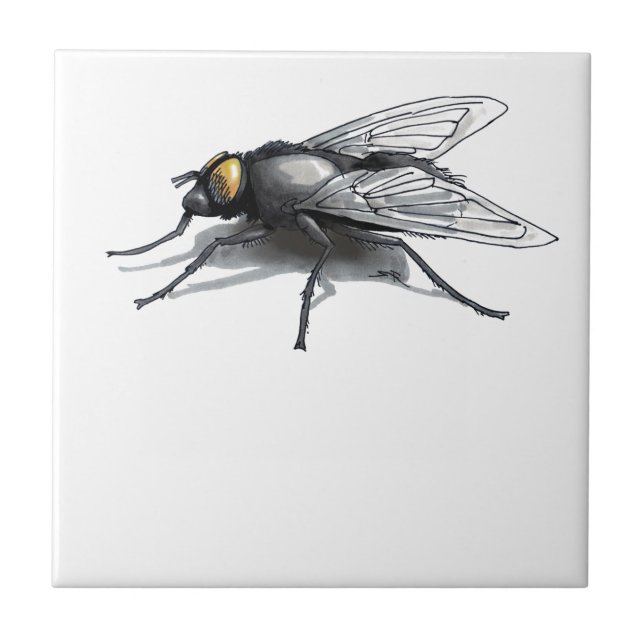 Fly Buddy giant fly small tile (Front)