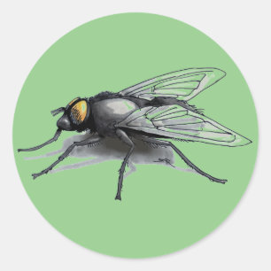 Fly Buddy green large round stickers