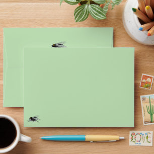 Fly Buddy green standard envelopes front and back