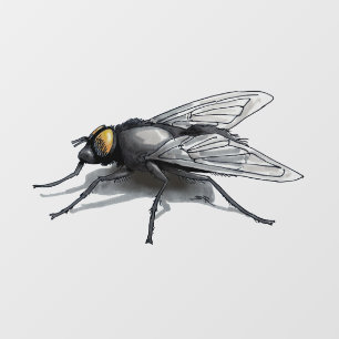 Fly Buddy shadow see-thru window cling back stick