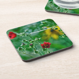 Fly-By in the Garden Coaster