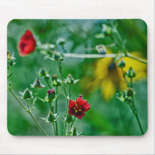 Fly-By in the Garden Mouse Pad