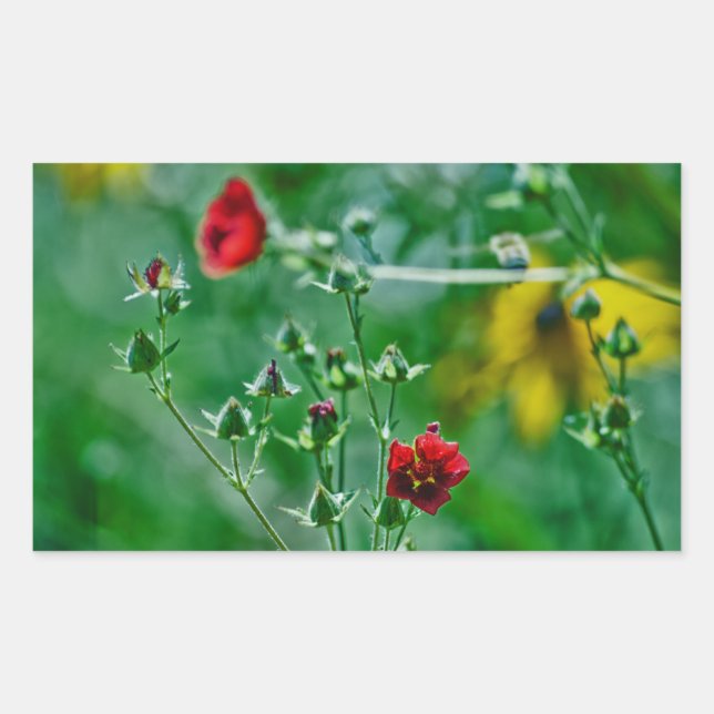 Fly-By in the Garden Rectangular Sticker (Front)