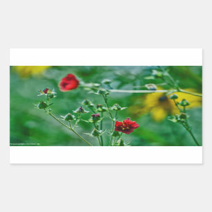 Fly-By in the Garden Rectangular Sticker