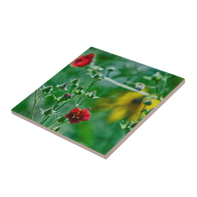 Fly-By in the Garden Tile (Side)